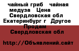 чайный гриб , чайная медуза › Цена ­ 100 - Свердловская обл., Екатеринбург г. Другое » Продам   . Свердловская обл.